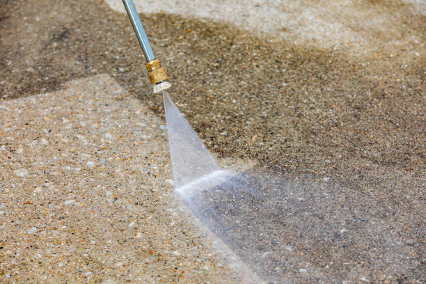 Best House Exterior Washing  in Ly Lake, IL