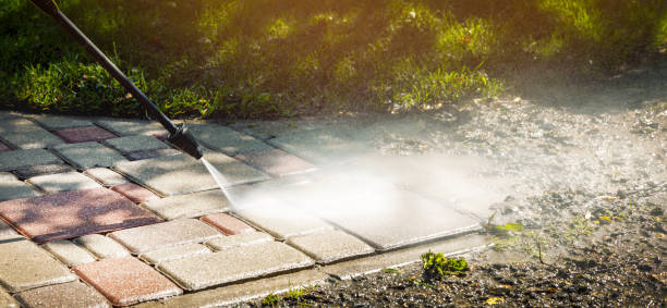 Best Oil Spill Cleanup  in Ly Lake, IL