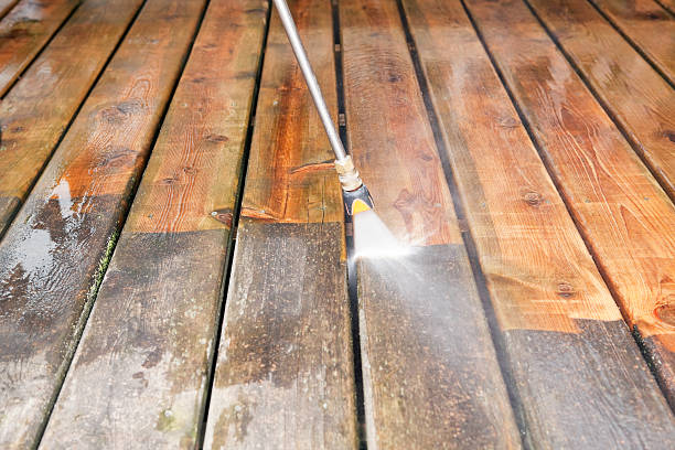 Best Gutter Cleaning  in Ly Lake, IL