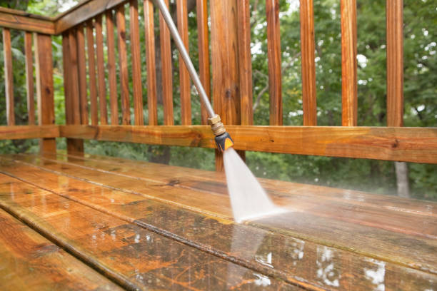 Best Fence Cleaning  in Ly Lake, IL